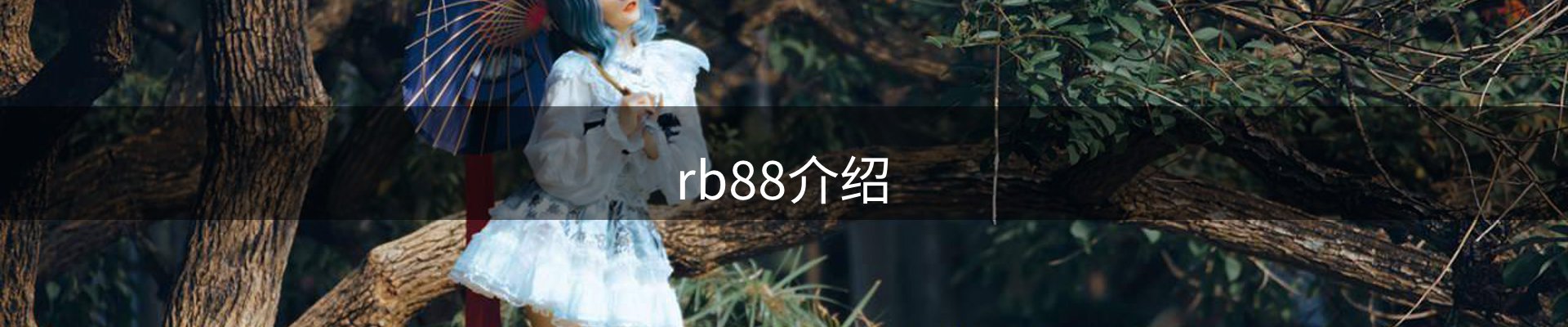 rb88介绍